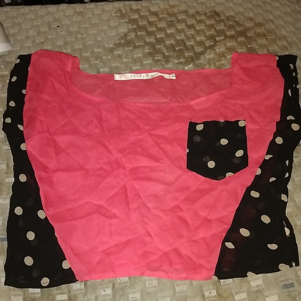 NWT S Pippa Lynn Sheer Sleeveless Blouse